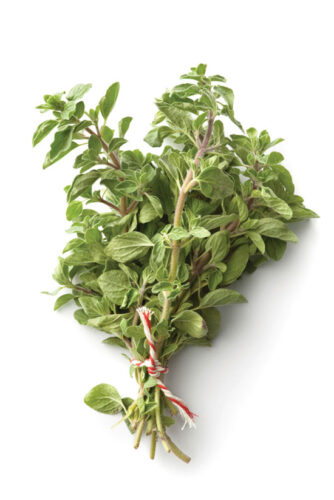 Marjoram: A Culinary (and Medicinal) Delight